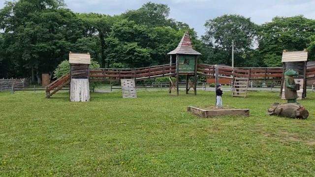 Международный день йоги 21.06.2023 на базе отдыха Елки-Палки в Кондратеновке. #БлогВладивосток смотреть онлайн