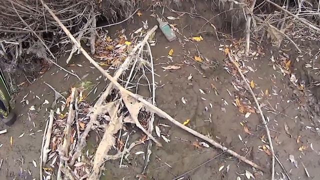 Рыбалка. Ловля спиннингом с берега щуки и окуня.Fishing spinning from coast pike and perch . смотреть онлайн