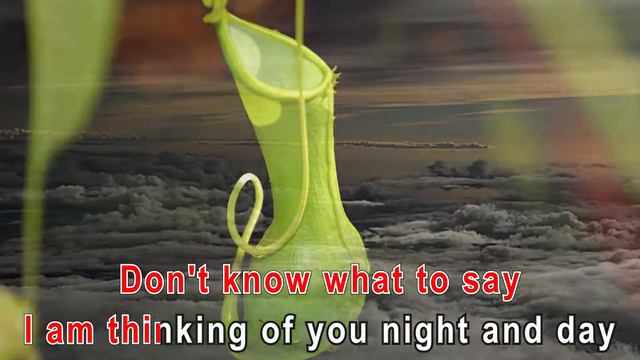 Thank you for your love Karaoke HD1080 смотреть онлайн