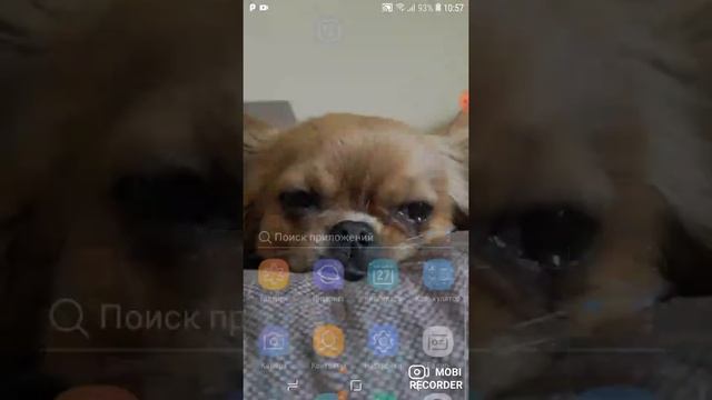 Как запустить запись экрана на тетлефоне samsung j2 core смотреть онлайн