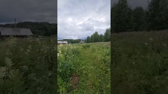 Турстоянка 25а. Плесецкий сектор. Кенозерский национальный парк. смотреть онлайн