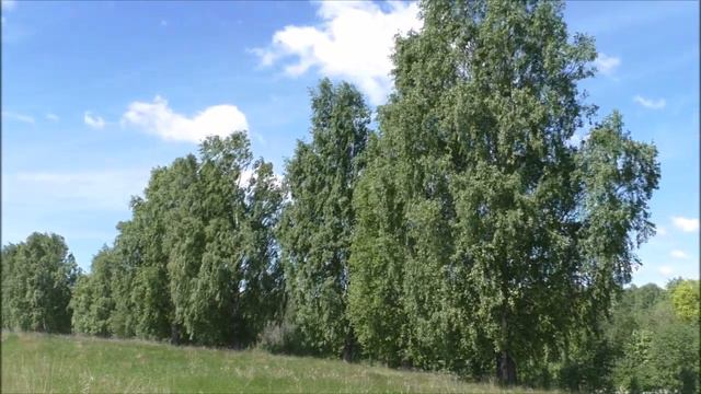 Геннадий Сюрсин Моя Удмуртия-Родина малая(гармонь) смотреть онлайн