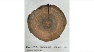 Биология 6 класс (Пасечник) Параграф 42 аудио версия
