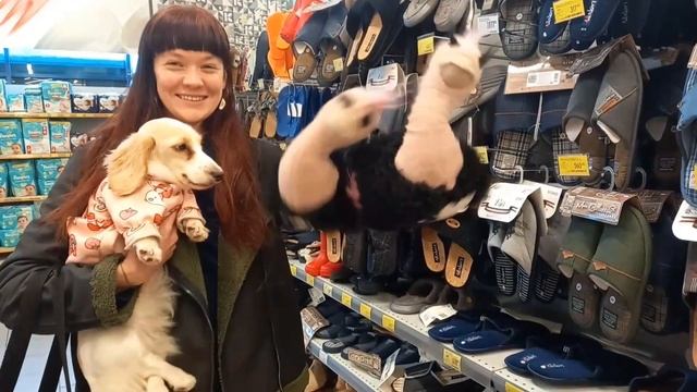 Влог с переездом в город, собираю домик для кроликов, пробую суп в стакане, оставила открытую машин смотреть онлайн