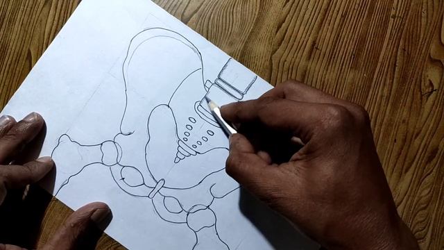 Pelvis bone anatomy drawing/How to draw pelvis bone diagram Anatomy drawing смотреть онлайн