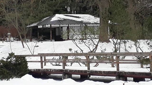 Японский сад март 27марта 2022г..mp4 смотреть онлайн