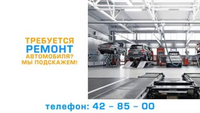 Бесплатная справочная служба 42-85-00 смотреть онлайн