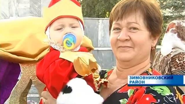 Зимовники день района