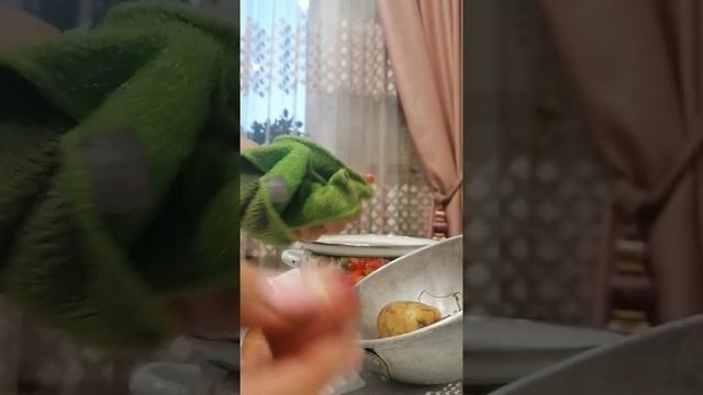 лайфак, как быстро почистить молодой картофель. смотреть онлайн