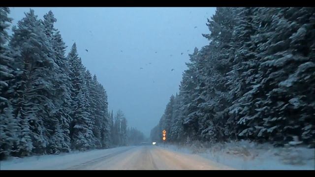 А ночью по ЛЕСУ идёт Сатана смотреть онлайн