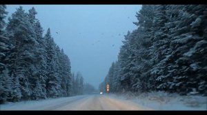 А ночью по ЛЕСУ идёт Сатана