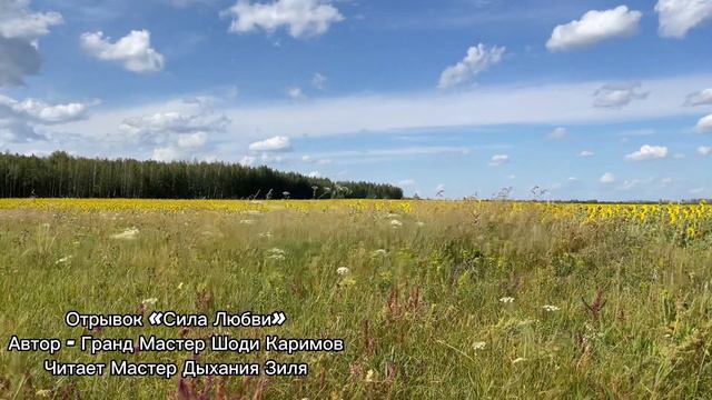 Сила Любви. Отрывок произведения Гранд Мастера Шоди Каримова. смотреть онлайн