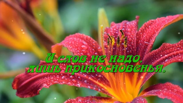 Самой Красивой Женщине Эти Цветы! ??? смотреть онлайн