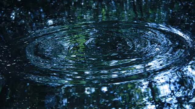 Photography Using Canon 450D