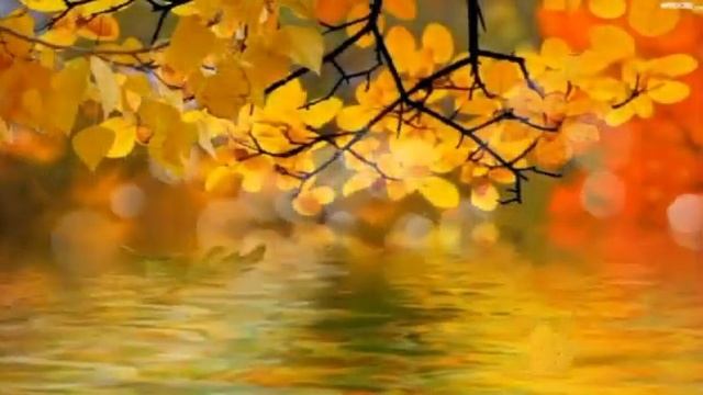 #детскаяпесня Осенняя сказка. Муз. Анна Олейникова, сл. Ирина Дарнина, вок. Елизавета Загорская. смотреть онлайн