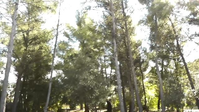 GW008 Skull Drone new outdoors test (Courtesy Banggood) смотреть онлайн