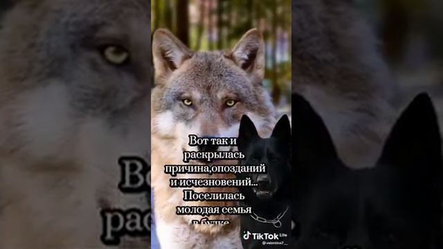 автор не я, но история интересная смотреть онлайн