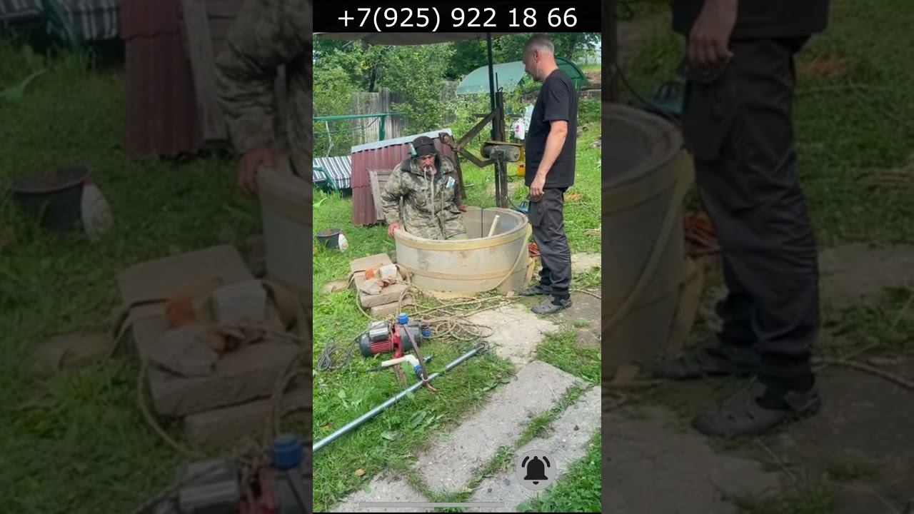 Яхрома, абиссинка в колодце возле кедра! #колодец #абиссинка смотреть онлайн