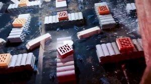 Почему Австралийский рак?