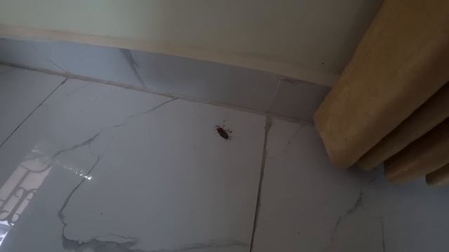 КАМБОДЖА. Страна - кладбище. Русский в шоке! смотреть онлайн