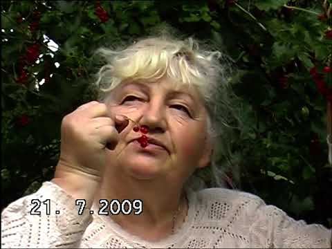 Воейково. Июль 2009. смотреть онлайн