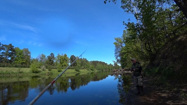 Рыбалка на реке Свислочь | Тягаем щук и окуней смотреть онлайн