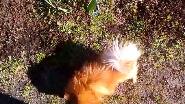 Весна. 5 мая. смотреть онлайн