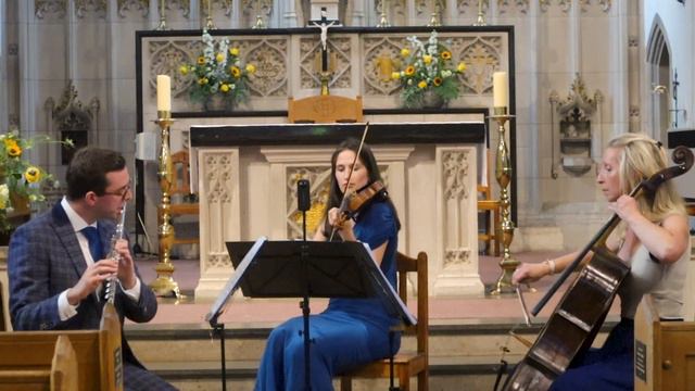 Majorelle Trio - Flute, Violin & Cello Showreel смотреть онлайн