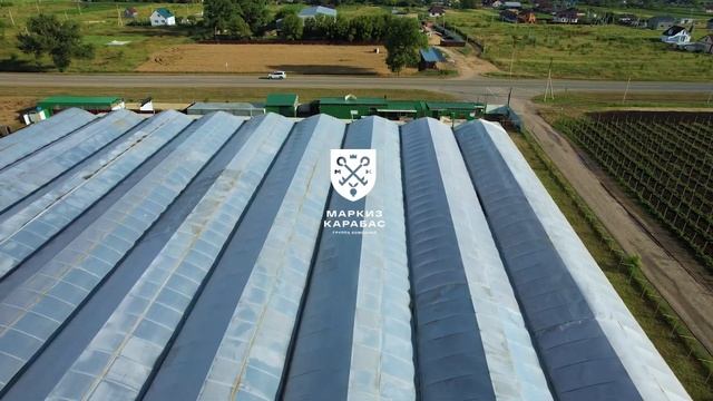 ТЕПЛИЧНЫЙ КОМПЛЕКТ 1 ГА (АНАПСКИЙ РАЙОН) смотреть онлайн