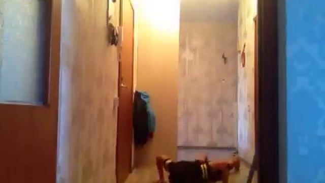 судный день-задание на вылет БЕРПИ за 90 сек смотреть онлайн