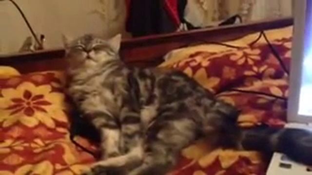 Полный отруб смотреть онлайн