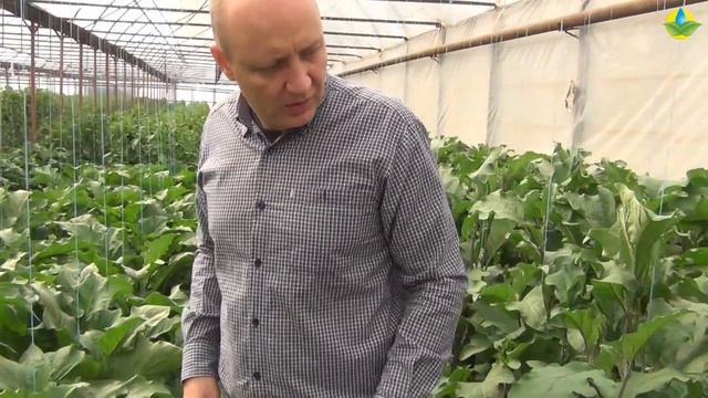 Умные Стройки