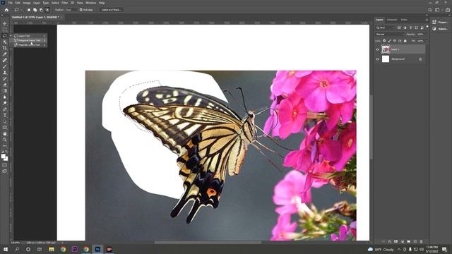 How to use Lasso Tool in Photoshop | Polygonal Lasso Tool | Magnetic Lasso Tool | Photoshop Tutoria смотреть онлайн