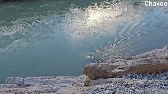 A depressed nomadic woman drowned her husband's second wife in the river смотреть онлайн