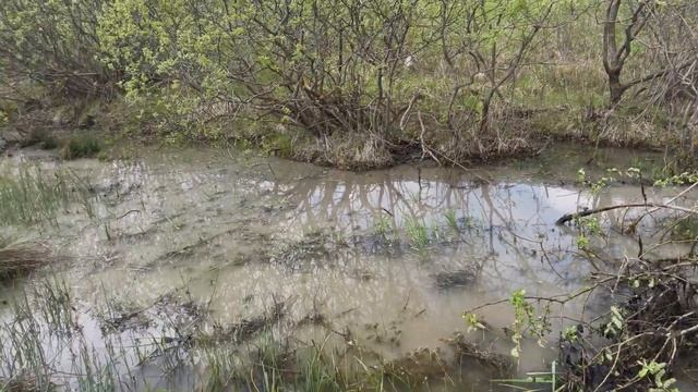 Урал Грузовик Застрял в грязи | Трактор Т 40 сможет ли Выташшит из грязи Урал | Гряземес по грязи смотреть онлайн