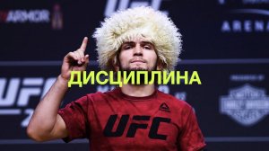 ПРОСВЕТЛЕНИЕ РЕАЛЬНО. Дисциплина.