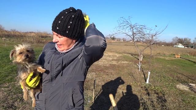 404 ч. "Холод собачий" закончился "Собачими танцами" ? смотреть онлайн