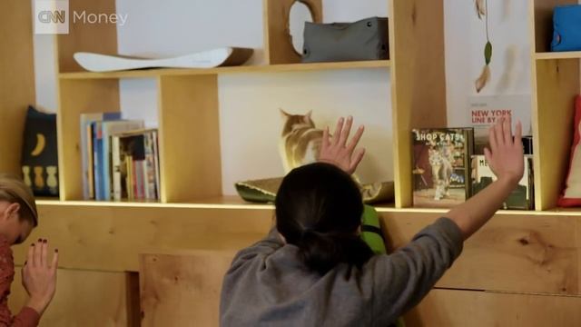 Cat Yoga - Yes, you can смотреть онлайн