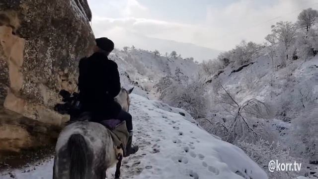Как кормят оленей зимой. Горы Таджикистана // Охухои Точикистонро мехуронанд смотреть онлайн