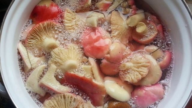 Засолка рыбы и икры в домашних условиях