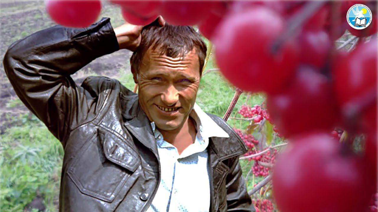 Юбилей В. М. Шукшина 1929-1974 (Видеоклип)▼✍️ смотреть онлайн