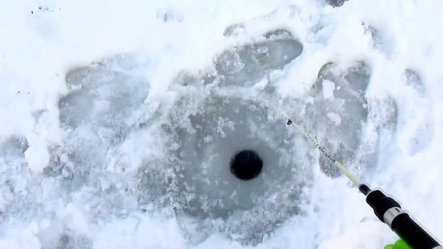 Видео-отчёт р.Каменка смотреть онлайн