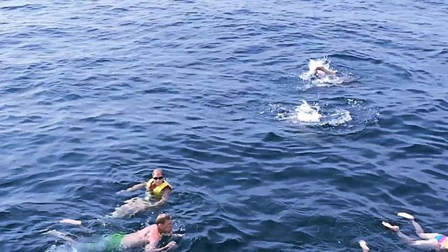 Геленджик. Один день путешествия на море на машине. смотреть онлайн