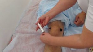 Пиявки при заболеваниях коленного сустава