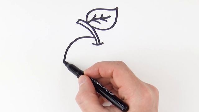 How to Draw an Apple Easy Art Tutorial for Beginners смотреть онлайн