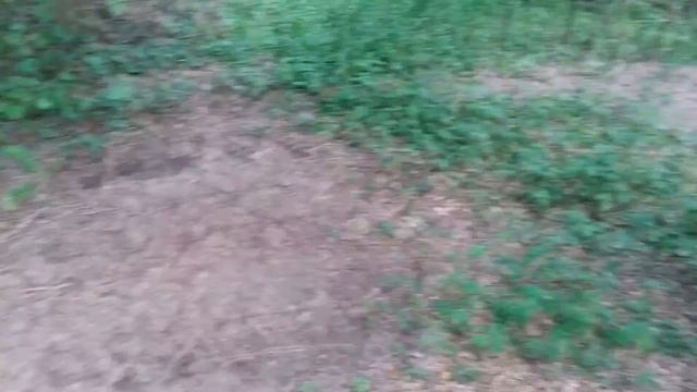 Неудачный но прикольный ШУРФ