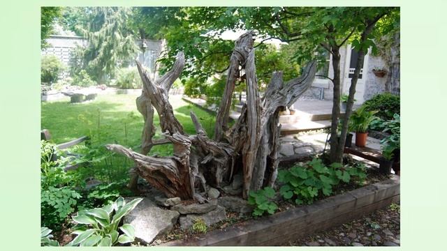 Диковинка из коряг в саду: идеи красивого рутария смотреть онлайн