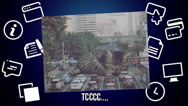 ГИГАНТСКИЕ КОТЫ