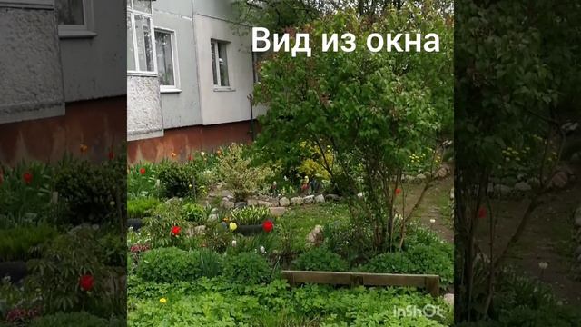 Ефремова,2 смотреть онлайн