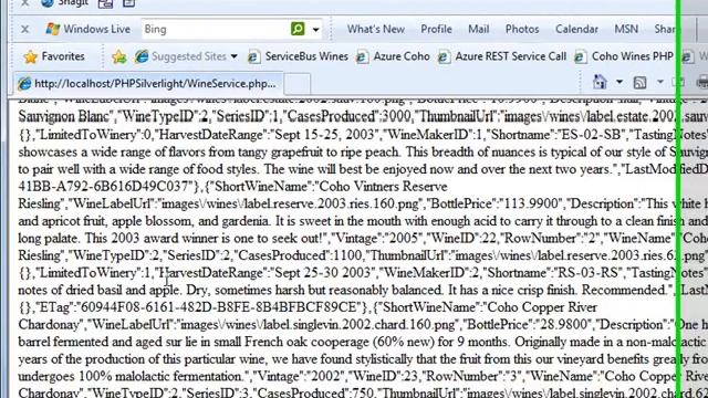 Running Silverlight in PHP - Part II смотреть онлайн